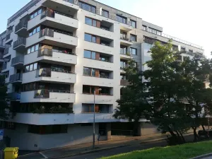 Pronájem bytu 1+kk, Praha - Žižkov, Kališnická, 39 m2