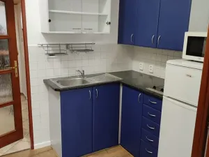 Pronájem bytu 1+kk, Praha - Žižkov, Milíčova, 30 m2