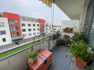 Pronájem bytu 1+kk, Slavkov u Brna, Zelnice II., 39 m2