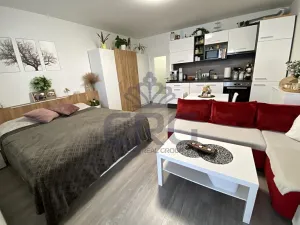 Pronájem bytu 1+kk, Slavkov u Brna, Zelnice II., 39 m2