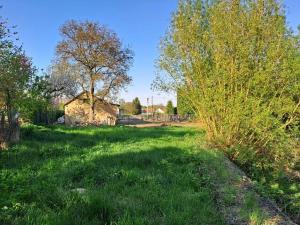 Prodej rodinného domu, Podluhy, 200 m2