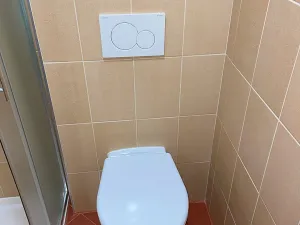 Pronájem bytu 1+kk, Praha - Michle, Hadovitá, 20 m2