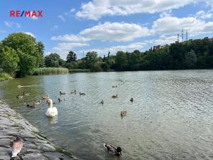 Pronájem bytu 2+kk, Praha - Záběhlice, Podle náhonu, 46 m2