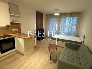 Pronájem bytu 1+kk, Praha - Žižkov, Tetauerova, 32 m2