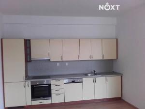 Pronájem bytu 1+kk, Černý Důl, 28 m2