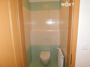 Pronájem bytu 1+kk, Černý Důl, 28 m2