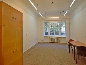 Pronájem bytu 1+kk, Praha - Vinohrady, Londýnská, 35 m2