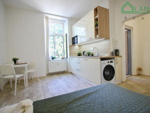 Pronájem bytu 1+kk, Brno, Palackého třída, 24 m2