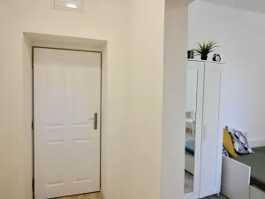 Pronájem bytu 1+kk, Brno, Palackého třída, 24 m2