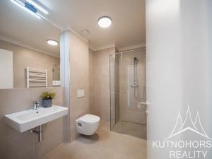 Pronájem bytu 1+kk, Kutná Hora, Hloušecká, 23 m2