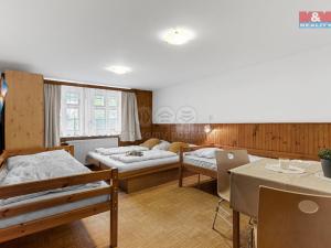 Prodej ubytování, Rokytnice nad Jizerou - Horní Rokytnice, 200 m2