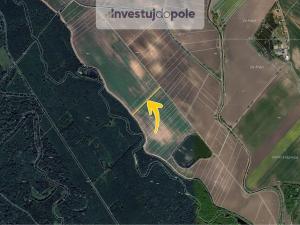 Prodej pole, Kostice, 1444 m2