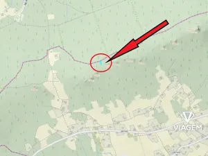 Prodej lesa, Velké Hamry, 496 m2