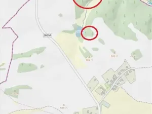 Prodej lesa, Osové, 21602 m2