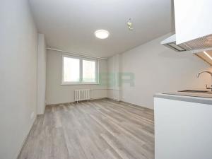 Pronájem bytu 1+kk, Praha - Střížkov, Děčínská, 23 m2