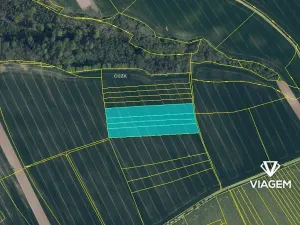 Prodej podílu pole, Želízy, 6748 m2