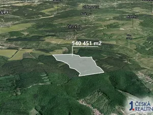 Prodej podílu lesa, Nedachlebice, 11622 m2