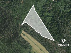 Prodej podílu lesa, Kuřimská Nová Ves, 4412 m2