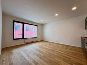Pronájem bytu 1+kk, Praha - Holešovice, U průhonu, 35 m2