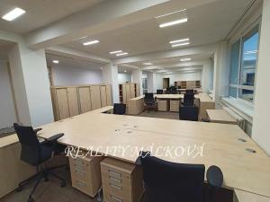 Pronájem obchodního prostoru, Pardubice, Masarykovo náměstí, 260 m2