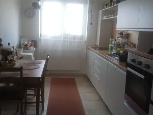Pronájem bytu 2+1, Břeclav, Smetanovo nábřeží, 56 m2