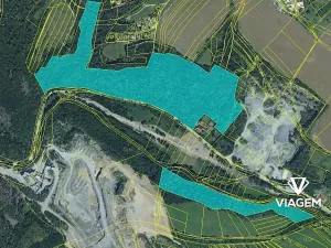 Prodej podílu lesa, Vyškov, 11163 m2