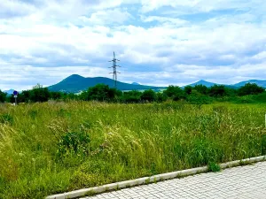 Prodej pozemku pro bydlení, Píšťany, 1098 m2