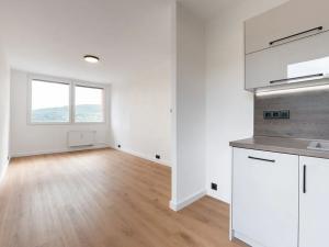 Pronájem bytu 2+kk, Bílina, Síbova, 40 m2