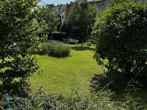 Prodej bytu 2+1, Olomouc, Rokycanova, 55 m2