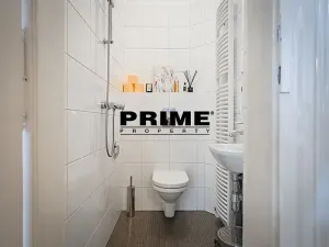 Pronájem bytu 5+1, Praha - Staré Město, Na Perštýně, 197 m2