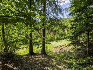 Prodej pozemku pro bydlení, Rabyně, 1457 m2