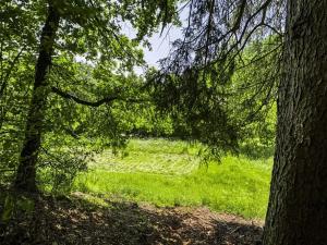 Prodej pozemku pro bydlení, Rabyně, 1457 m2