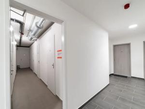 Pronájem bytu 2+kk, Praha - Hloubětín, Poděbradská, 52 m2