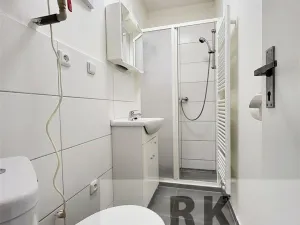 Pronájem bytu 2+kk, Brno, Dukelská třída, 28 m2