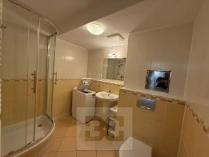 Pronájem bytu 1+kk, Praha - Holešovice, U měšťanského pivovaru, 54 m2