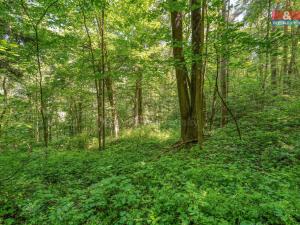 Prodej pozemku pro bydlení, Hostouň, 5096 m2