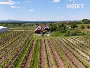 Prodej ubytování, Velké Bílovice, 322 m2