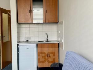 Pronájem bytu 1+kk, Brno, Příkop, 30 m2