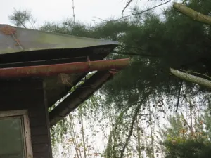 Dražba chaty, Tvrdkov, 51 m2