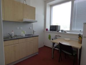Pronájem pokoje, Brno, Vídeňská, 27 m2