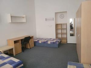Pronájem pokoje, Brno, Josefská, 22 m2