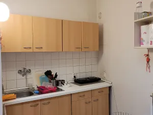 Pronájem pokoje, Brno, Josefská, 22 m2