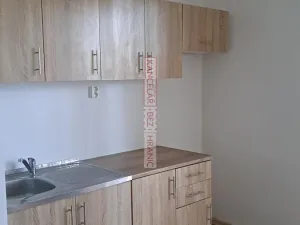 Pronájem bytu 1+kk, Havířov, 17. listopadu, 25 m2
