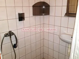 Pronájem bytu 1+kk, Havířov, 17. listopadu, 25 m2