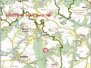 Prodej lesa, Onšov, 378 m2