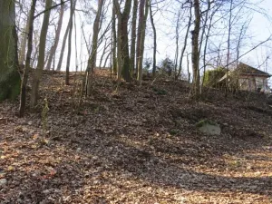 Prodej lesa, Čerčany, 394 m2