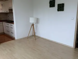 Pronájem bytu 2+1, Ostrava, Opavská, 44 m2