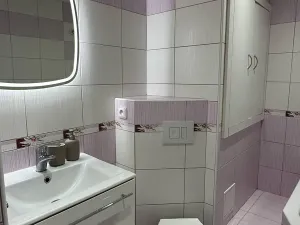Pronájem bytu 2+1, Ostrava, Opavská, 44 m2
