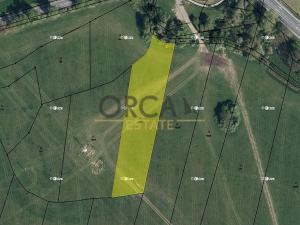 Prodej louky, Třebechovice pod Orebem, 4201 m2