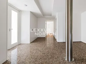 Pronájem bytu 6+kk a větší, Praha - Bubeneč, Pod kaštany, 270 m2